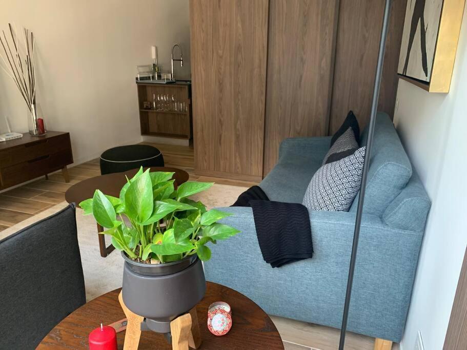 Nuevo Y Lujoso Depto Con Amenidades Nuevo Polanco Apartment *